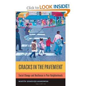 Cracks in the Pavement Social Change and Resilience in 