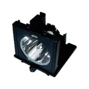  Electrified F10 1080 F101080 Replacement Lamp with Housing 