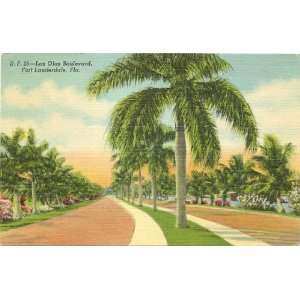 1950s Vintage Postcard   Las Olas Boulevard   Fort Lauderdale Florida