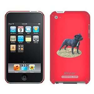  Staffordshire Bull Terrier on iPod Touch 4G XGear Shell 