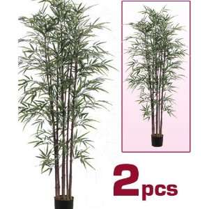  6 Slim Bamboo Silk Tree w/Pot (case of 2)