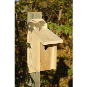  Western Bluebird Bird House in Solid Cypress: Pet Supplies