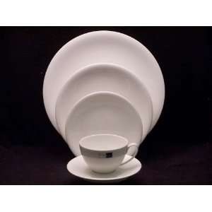  Denby China 5 Pc Place Setting(s)
