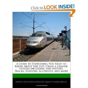 Guide to Everything You Need to Know About the TGV (Train a Grande 