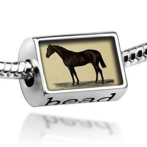  Beads Black Horse   Pandora Charm & Bracelet Compatible 