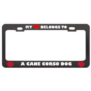 My Heart Belongs To A Cane Corso Dog Animals Pets Metal License Plate 