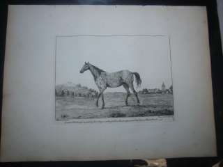 1762 SET OF 2 ENGRAVING PRINTS TILLEMANS/RAVENET HORSE  