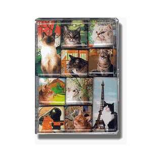  Kitties on Tour Mighty Magnets Set of 10 magnets