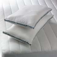 Sealy Precision Medium Support Gusseted Pillow 