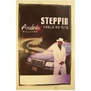  Andre Williams Poster Steppin Feels So Right Andre 