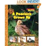 Peachick Grows Up (Scholastic News Nonfiction Readers: Life Cycles 