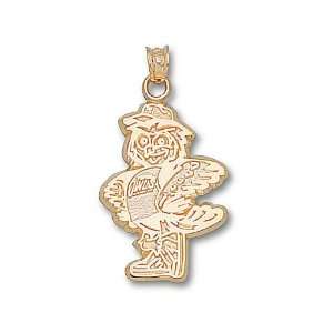  Temple Owls 10K Gold Standing Owl Pendant Sports 