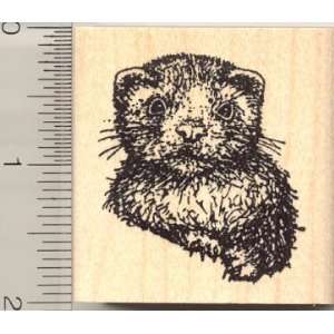  Medium Baby Ferret Rubber Stamp: Arts, Crafts & Sewing
