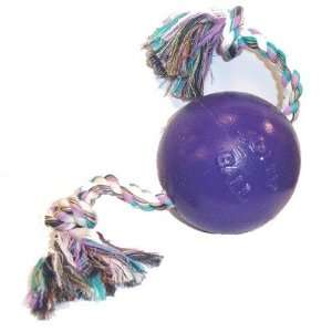  Romp And Roll Ball Dog Toy Size 8 inch, Color Purple 