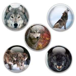    Decorative Magnets or Push Pins 5 Big Wolves: Kitchen & Dining