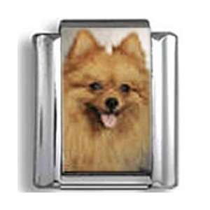  Pomeranian Dog Photo Italian Charm: Jewelry