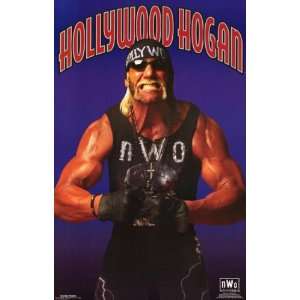 Hollywood Hulk Hogan   NWO   Wrestling 22x34 Poster 