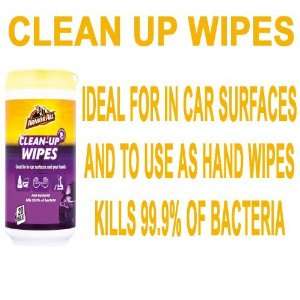   Clean Up Wipes For In Car & Hand Wipe Mini Tub (20 Wipes): Automotive