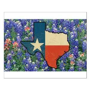  Small Poster Texas Flag Bluebonnets 