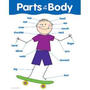   Pack CREATIVE TEACHING PRESS CHART PARTS OF THE BODY 