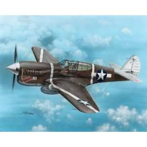  Warhawk Guadalcanal Hawks Fighter (w/Photo Etch) (Pl Toys & Games