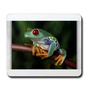  Mousepad (Mouse Pad) Red Eyed Tree Frog 