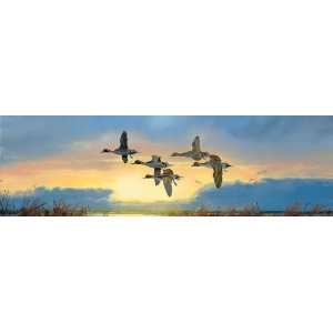   Wings Series Dawn Patrol Ducks Window Graphics: Sports & Outdoors