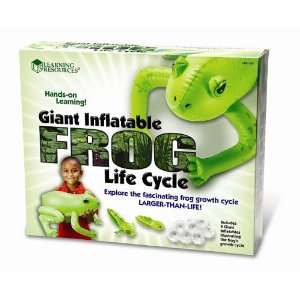    Learning Resources Inflatable Frog Life Cycle Toys & Games