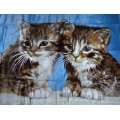  Kuscheldecke Tagesdecke Decke Motiv Katzen I 160x210cm 