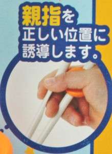 Beginner Learning Training Chopsticks for Kids B1e  