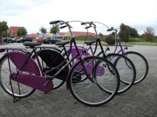Hollandrad Purple mit Dynamobeleuchtung nach StVZO 28 Zoll  