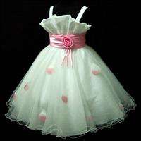 P818 Baby Pink Christmas Wedding Bridesmaid Flowers Girls Pageant 