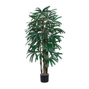 5 Raphis Palm Silk Tree
