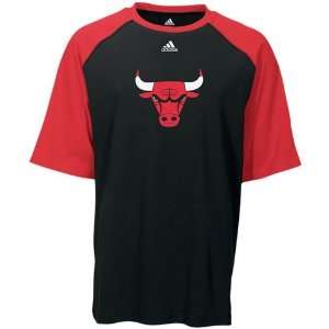  adidas Chicago Bulls Black Primary T shirt Sports 