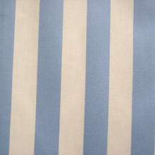 Blue & White Awning Stripe