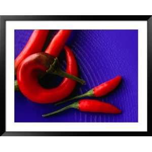 Red Chilli Peppers on a Blue, Patterned Plate, Australia Photography 