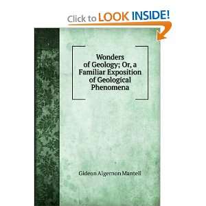   Exposition of Geological Phenomena Gideon Algernon Mantell Books