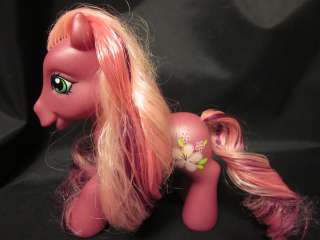   PONY PONIES G3 FRIENDSHIP CHEERILEE EASTER GIFT PINK FLOWERS EUC EARTH