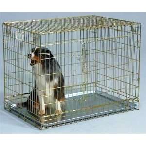  Side Door Wire Dog Crate   Gold/Large: Pet Supplies