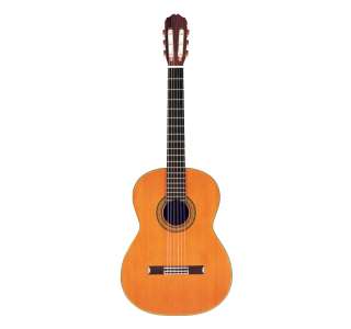 Takamine TH5 Hirade Classical Guitar & case  Used  