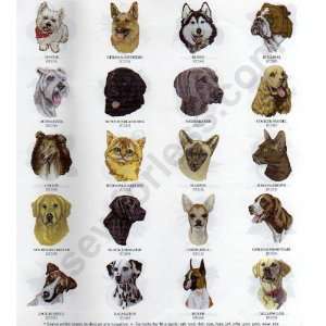  Dogs & Cats Embroidery Designs by Balboa Threadworks on 