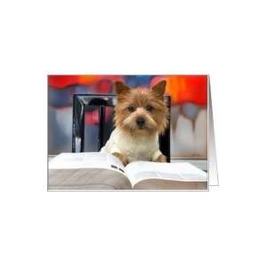  Cute Little Dog Reads A Book and Wishes Teacher Happy 
