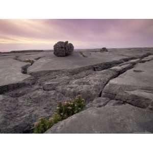 Limestone Rocks Near the Sea, at Sunset, the Burren, Munster, Republic 