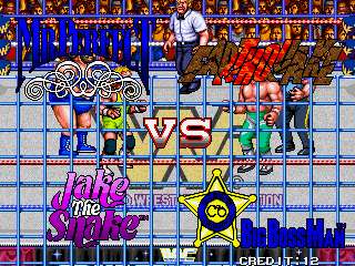 WWE/WWF WRESTLEFEST & SUPERSTARS ARCADE GAME (1991)  