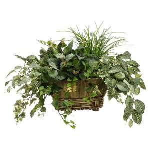   Artificial Fittonia & Ivy Silk Plant Arrangement