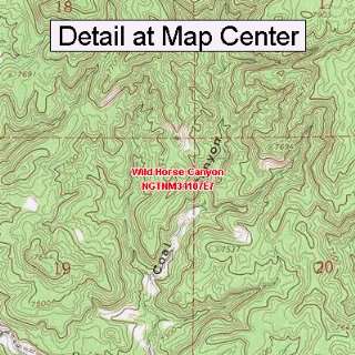 USGS Topographic Quadrangle Map   Wild Horse Canyon, New Mexico 